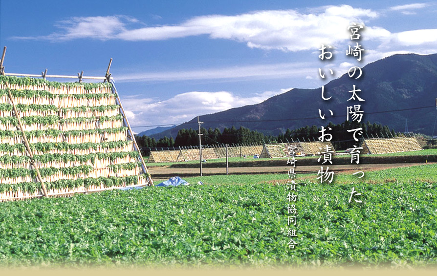 宮崎県漬物協同組合